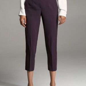 Babaton Conan Tapered Pants Deep Plum | Aritzia Work Trouser XS